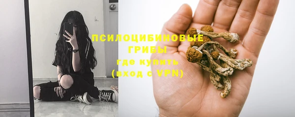 стаф Алексеевка