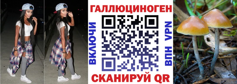 Галлюциногенные грибы прущие грибы  Артёмовск 